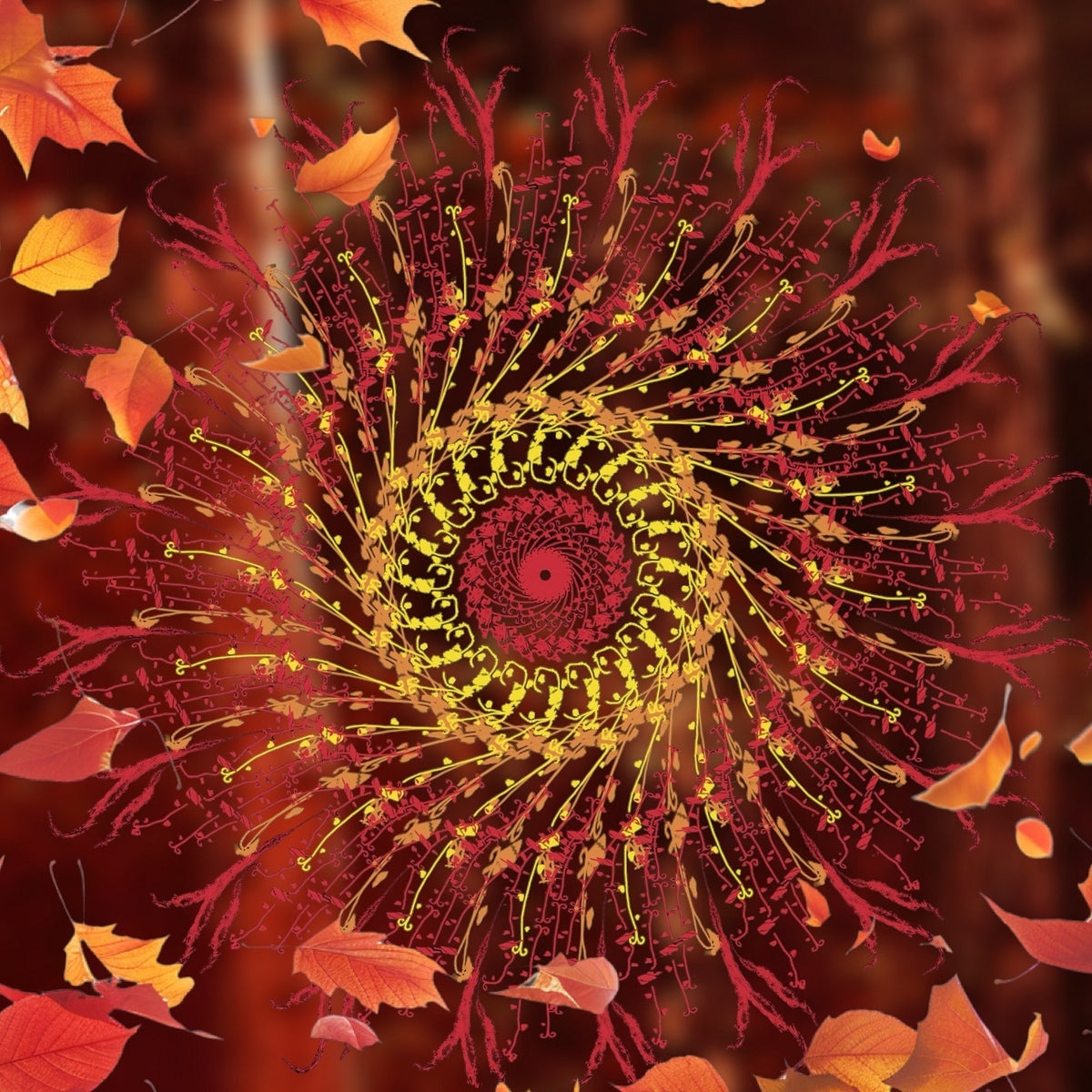 Modern Mandala Art