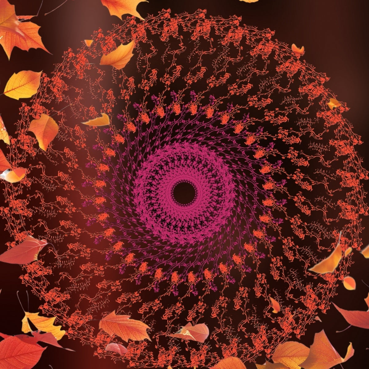 Modern Mandala Art