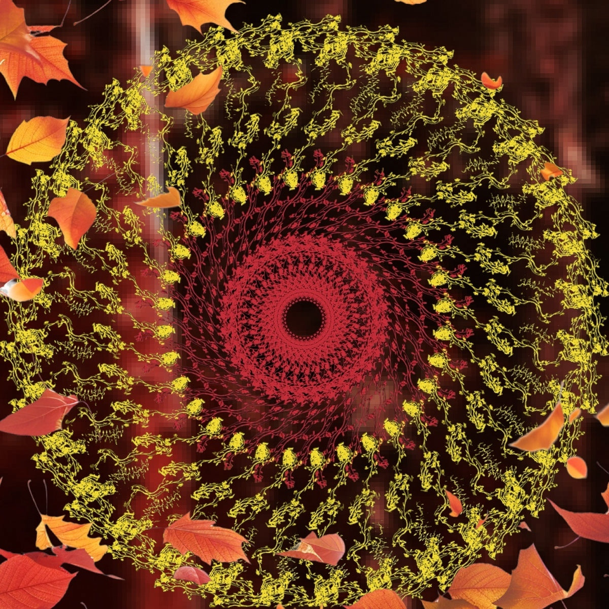 Modern Mandala Art