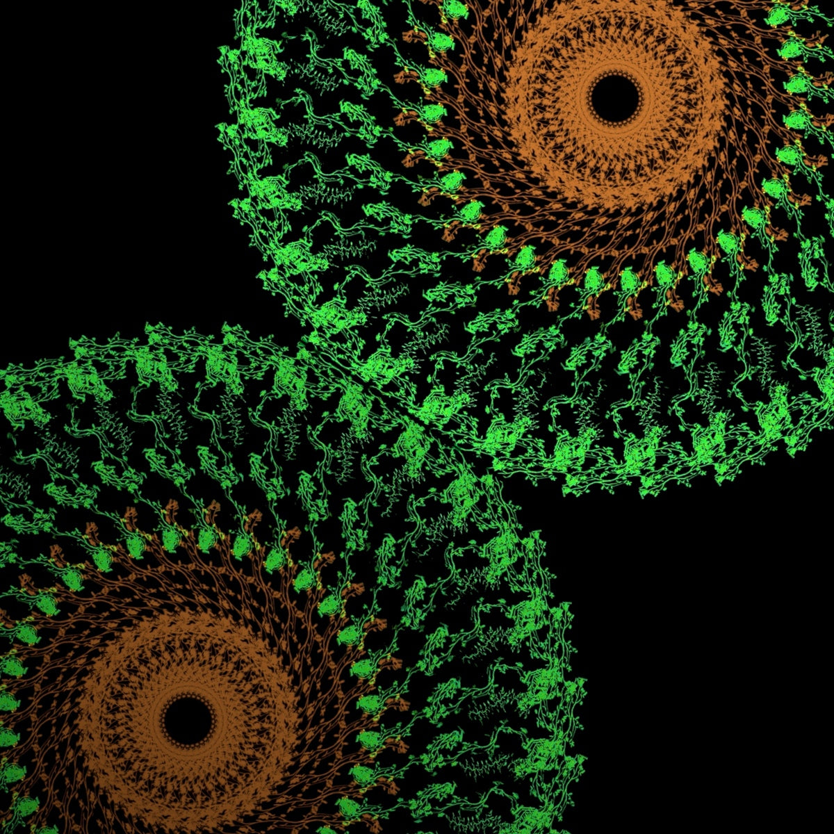 Modern Mandala Art