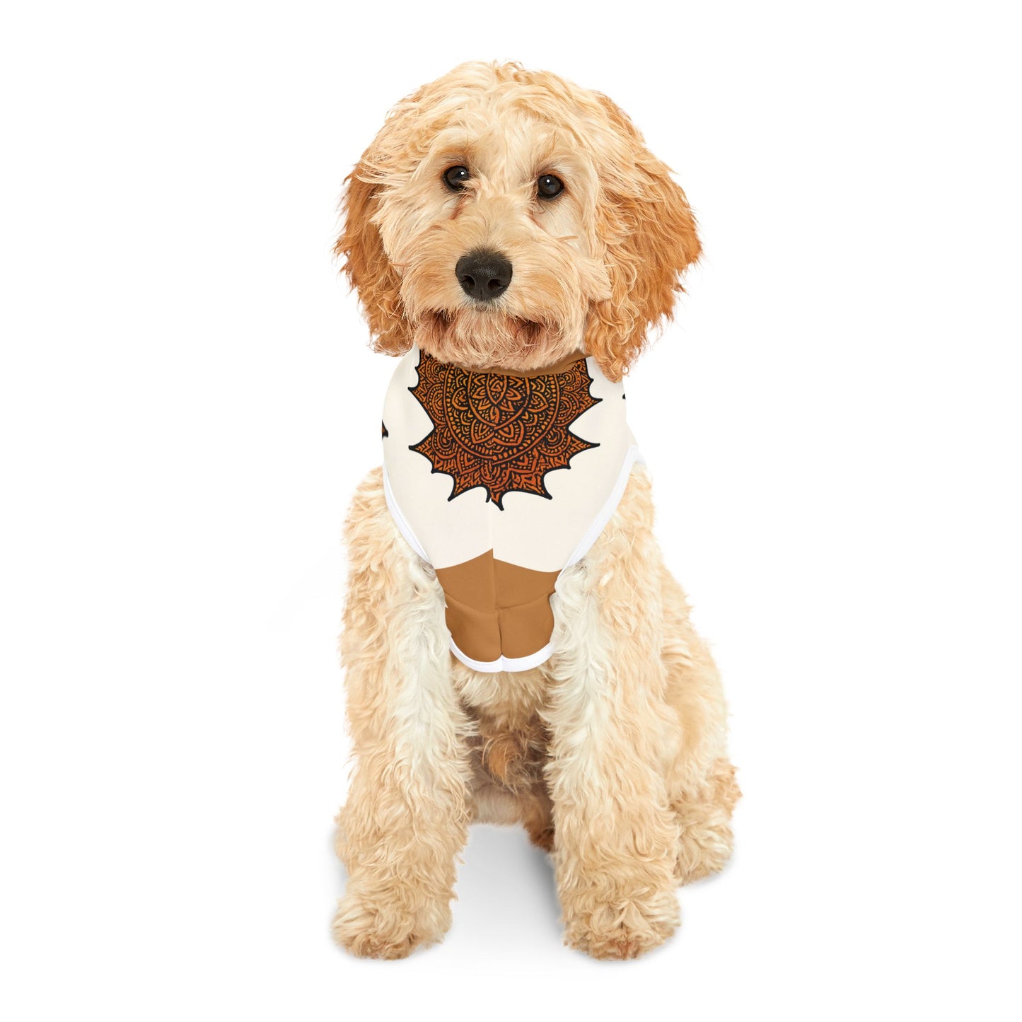Stylish Pet Hoodie with Mandala and Leaf Design, Cozy Dog Sweater, Fall Fashion for Pets, Pet Gift for Autumn, Cute Canine Outfit