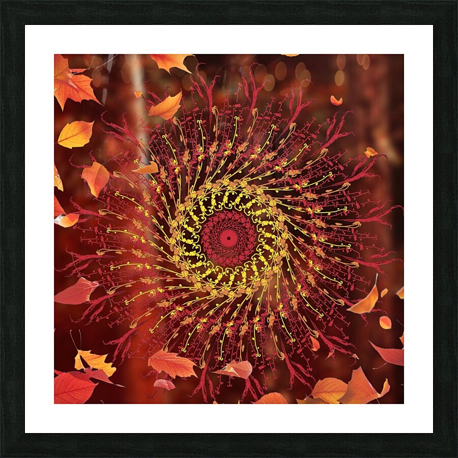 Modern Mandala Art
