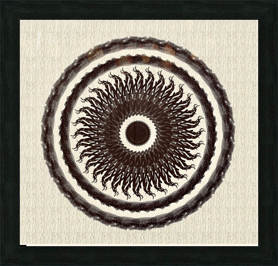 2204735 :: Framed Print