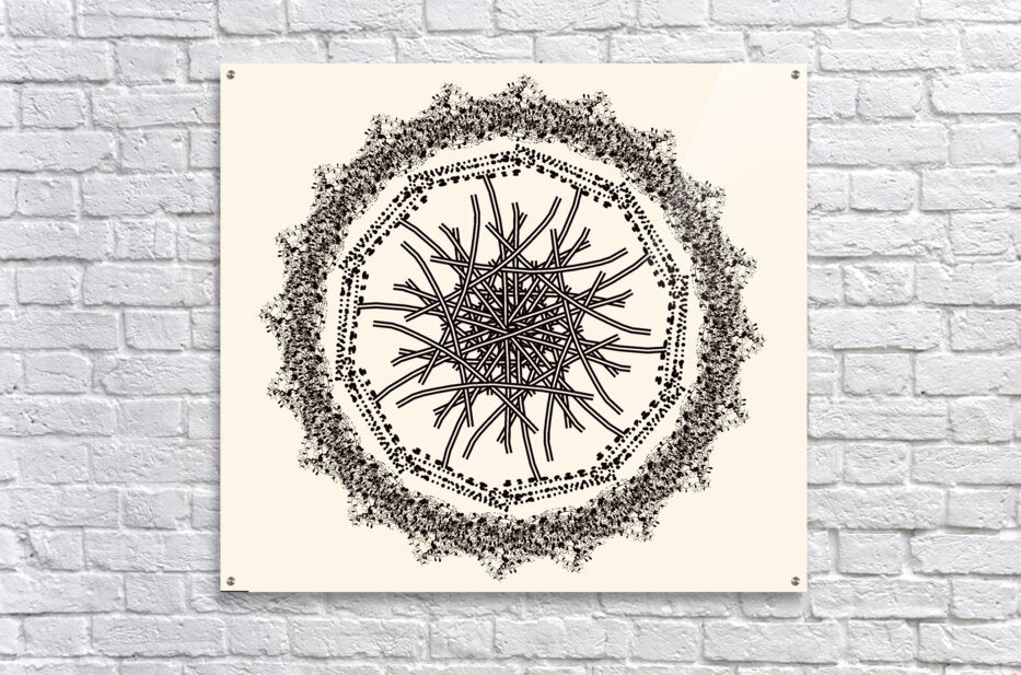 2204757 :: Acrylic Print