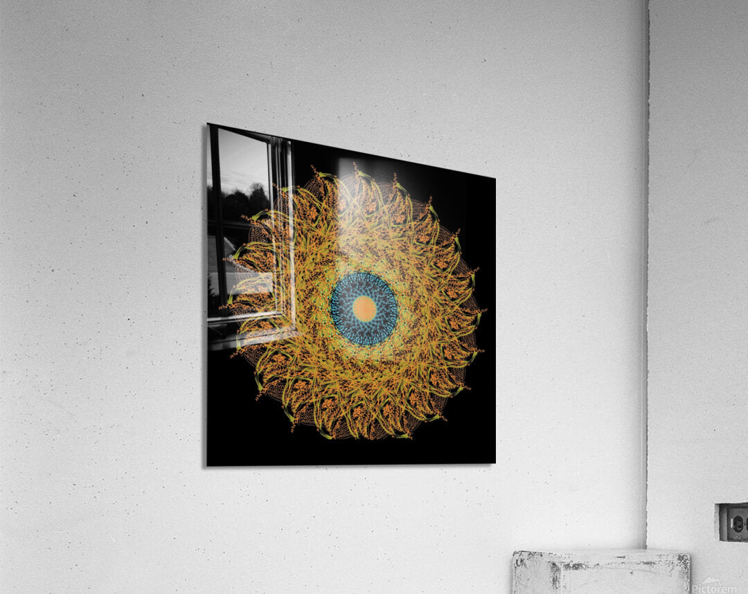 Living Room Exclusive