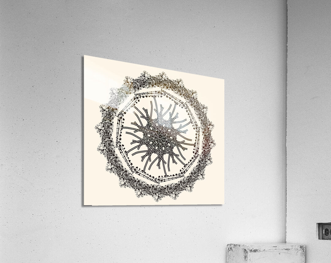 2204757 :: Acrylic Print
