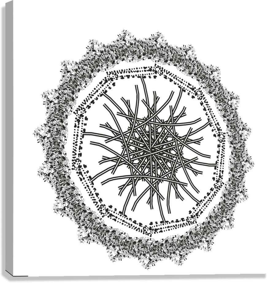 2204743 :: Giclée Stretched Canvas Print