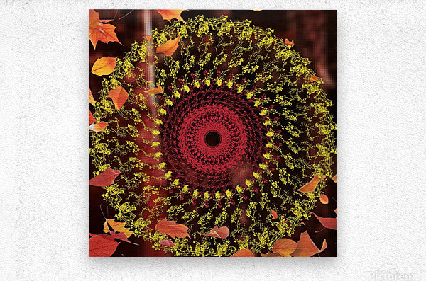 Modern Mandala Art