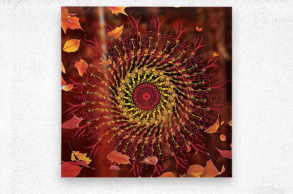 Modern Mandala Art
