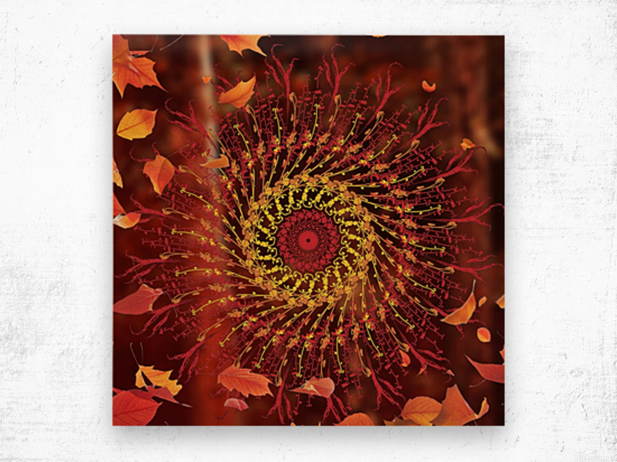 Modern Mandala Art