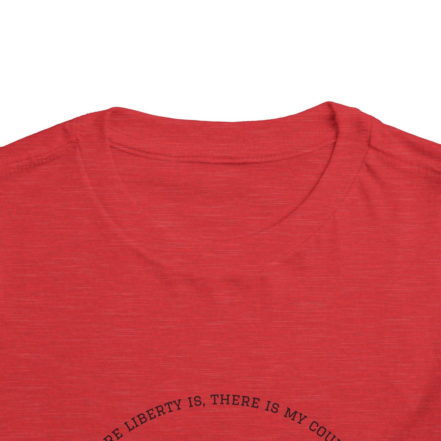 Patriotic Toddler Tee, Cute Kids Patriotic Shirt, Fun 4th of July Gift, Toddler Independence Day Shirt, Citizenship Tee