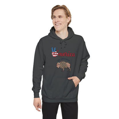 'Merica Peace Sign Hoodie — 250th Anniversary American Flag Bison