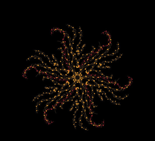 Luminous Vortex