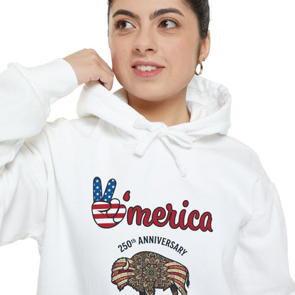 'Merica Peace Sign Hoodie — 250th Anniversary American Flag Bison