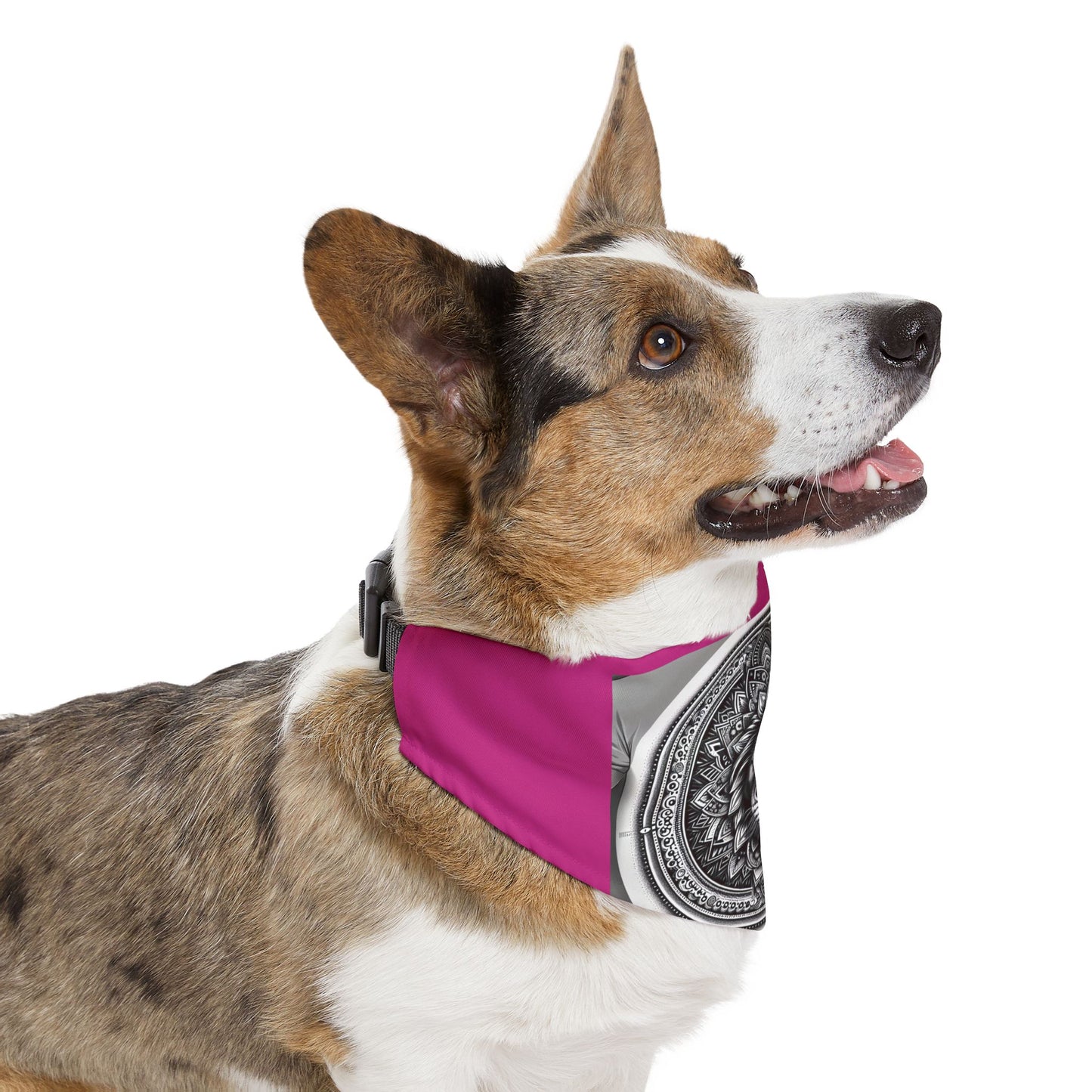 Stylish Pet Bandana Collar with Lion Design, Adjustable Dog Accessory for Celebrations, Perfect for Pet Lovers, Gift for Dog Owners, [...]
