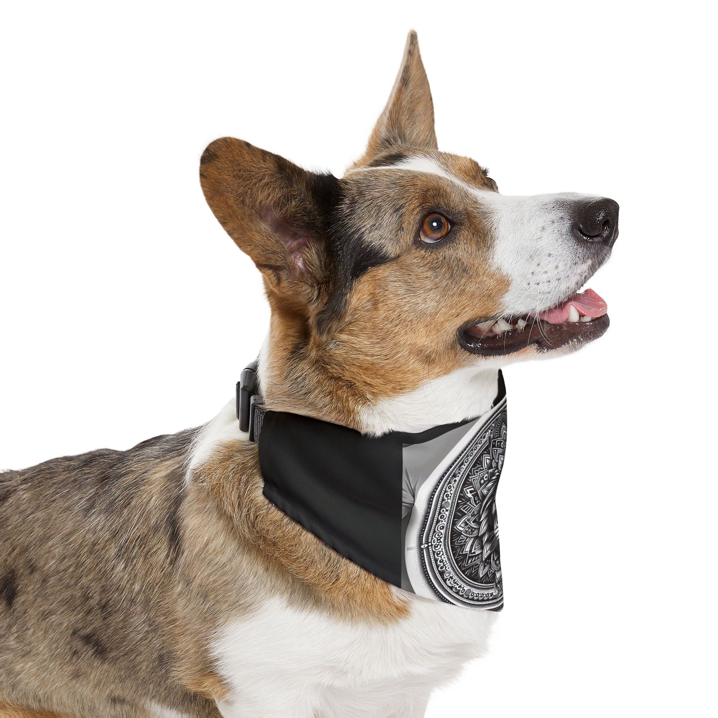 Stylish Pet Bandana Collar with Lion Design, Adjustable Dog Accessory for Celebrations, Perfect for Pet Lovers, Gift for Dog Owners, [...]