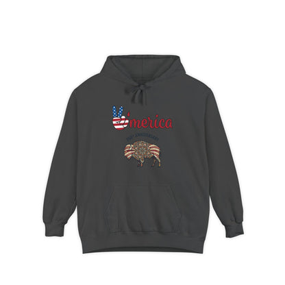 'Merica Peace Sign Hoodie — 250th Anniversary American Flag Bison