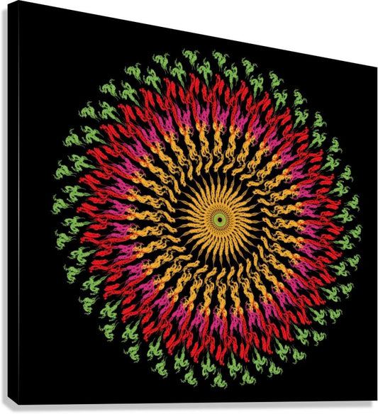 Gleaming Spiral13