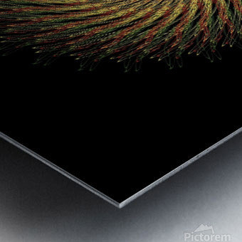 2165632 :: Brushed Metal Print