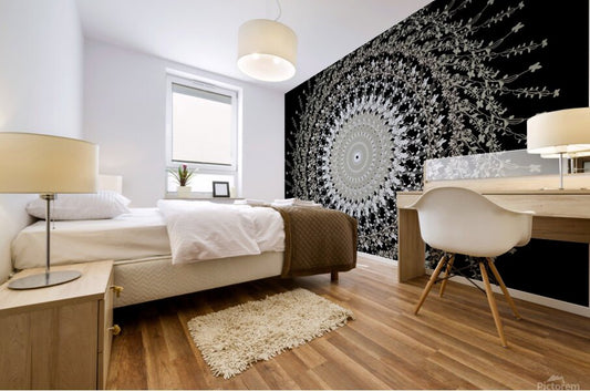 Wall Murals 64
