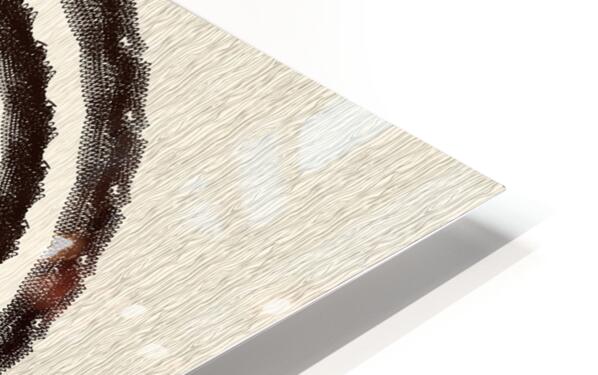 2204735 :: HD Sublimation Metal Print